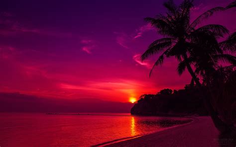 Purple Beach Sunset Wallpapers 4k Hd Purple Beach Sunset Backgrounds
