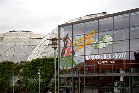 Randers regnskov / tropical zoo , part 1. Randers Regnskov - Tropicalne Zoo w Jutlandii | PHOTO ...
