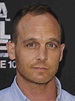 Ethan Embry Net Worth, Bio, Height, Family, Age, Weight, Wiki - 2024