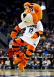 Mascot Monday: University of Memphis Tigers | Surviving ...