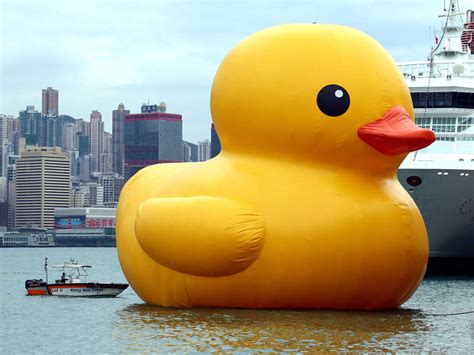 Rubber Ducky Youre Not The One Hong Kong Quacker Spawns Others The Two Way Npr