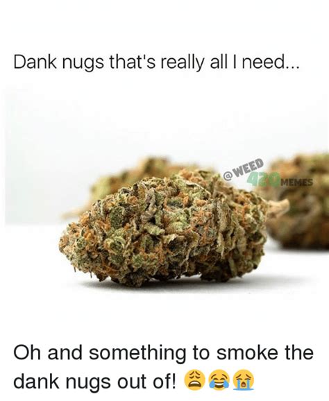 Dank Nugs Thats Really All Need Memes Oh And Something To Smoke The