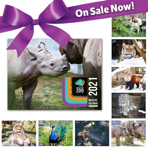 2021 Potter Park Zoo Wildlife Calendars Are Here Potter Park Zoo