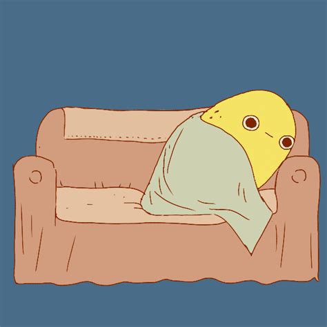 Couch Potato Blanket  By Alice Socal Find And Share On Giphy