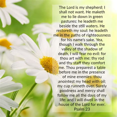 Psalm Lord Is My Shepherd Encouraging Bible Verses