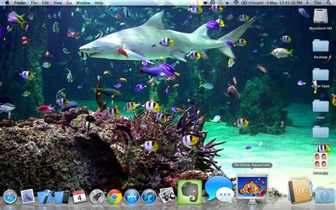 Aquarium Screensaver Download On Macos Sierra Full Fresh Version From