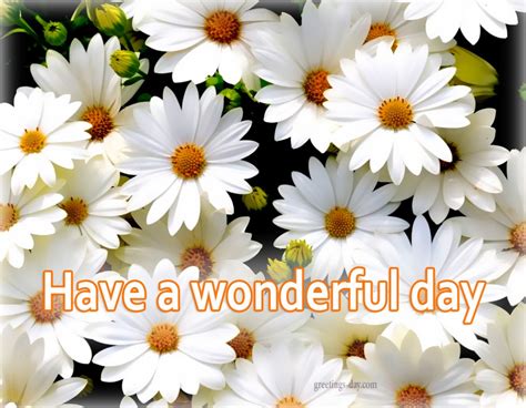 Thanks for viewing wonderful day quotes good morning quotes.you can also find us on popular social media sites including facbook, pinterest, google+ & tumblr. Have a Nice Day - Best Quotes, Photos, Pictures.