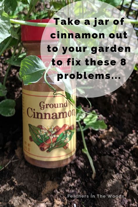 27 gardening hacks you ll want to know gardening