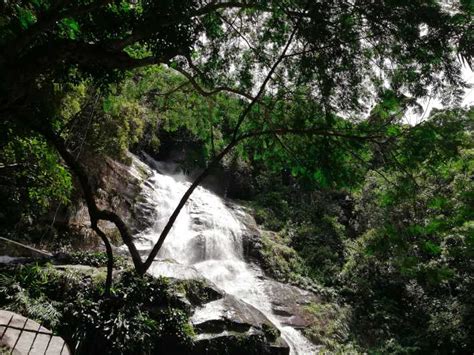 Rio De Janeiro Tijuca Forest Waterfall Of Souls Wandeling Getyourguide
