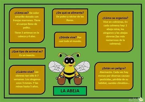 espectro Generalizar Promesa información acerca de las abejas reforma