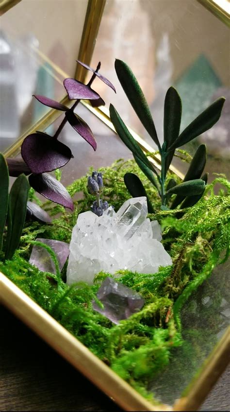 Crystal Garden Terrarium Kit Fairy Crystal Garden Zen Garden | Etsy | Crystal garden, Garden ...