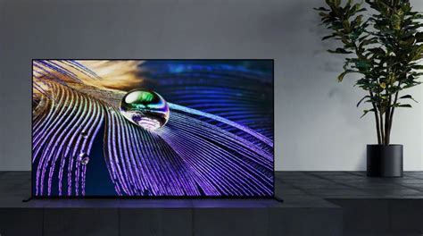 Best Oled Tvs In 2022 Cooldown