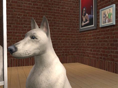 Mod The Sims White Dobermans And Uncropped Dobys