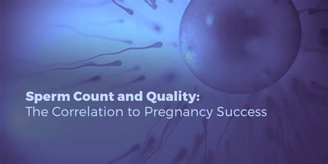 sperm count and quality the correlation to pregnancy success kpj damanasara fertility centre