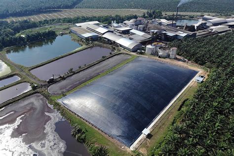 Provident agro tbk (palm) bergerak di bidang pertanian, perdagangan dan manufaktur terkait dengan agroindustri. Projects - Green Lagoon