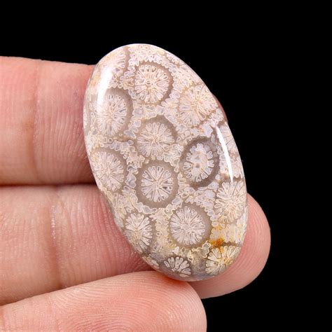 Natural Fossil Coral Cabochon Fossil Coral Gemstone Loose Etsy