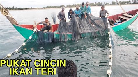 Detik Detik Penangkapan Ikan Teri Dapat Banyak Laut Aceh PUKAT CINCIN