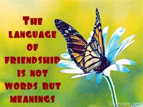 Butterfly Friendship Quotes Quotesgram