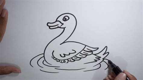 Cara Menggambar Bebek Untuk Pemula Youtube