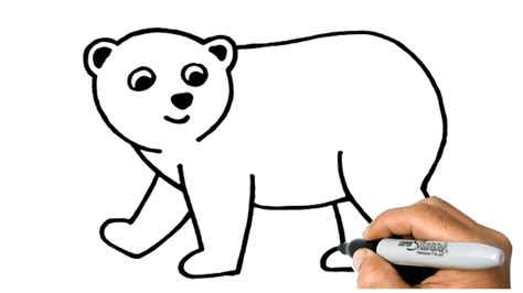 How To Draw A Polar Bear Step By Step Polar Bear Easy Drawing Lesson
