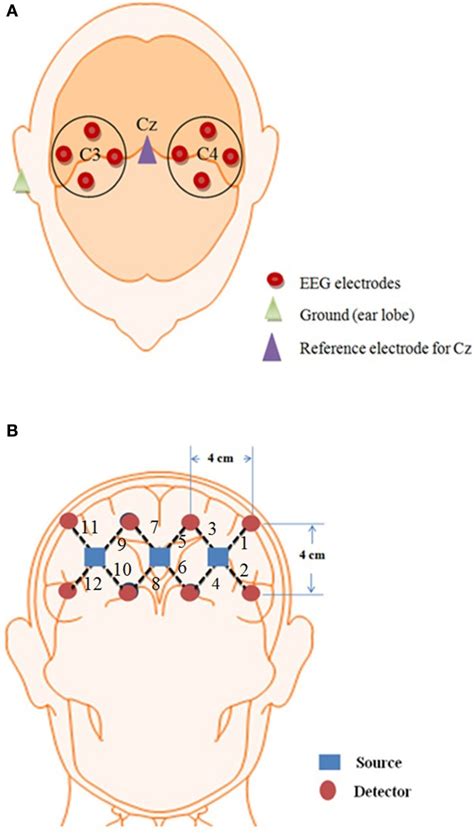 Optode Location For Eeg And Nirs A 8 Eeg Electrodes Placement Over