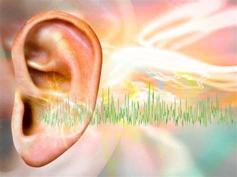 New Hope For Tinnitus Sufferers The Independent The Independent
