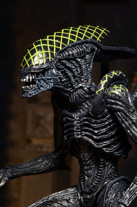 Neca Toys Closer Look Alien 7 Series 7 Action Figures Toy Hype Usa