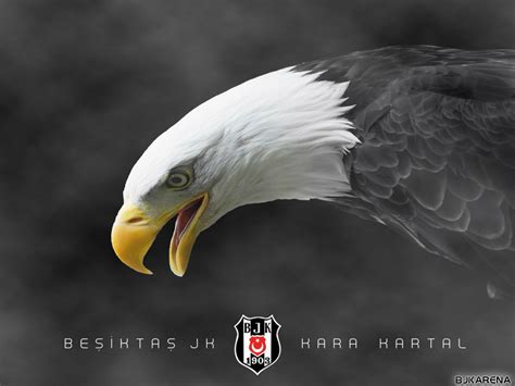 Beşiktaş Duvar Kağıtları And Kara Kartal Logo Hd Wallpapers ~ Kaliteli Resim