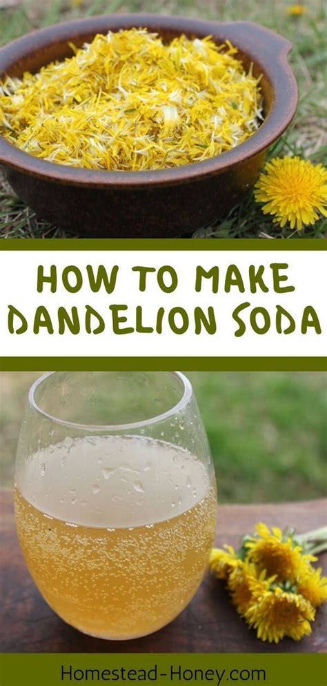 Dandelion Soda Recipe In 2020 With Images Dandelion