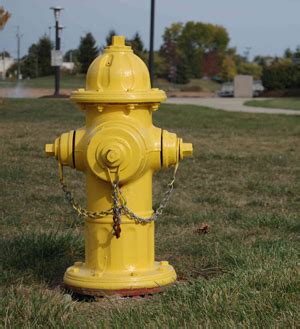 Mellow yellow black n yellow color yellow yellow art mustard yellow yellow photography photography composition yellow fever yellow brick road. Water Board Chief Threatens to Douse Hydrant Artwork
