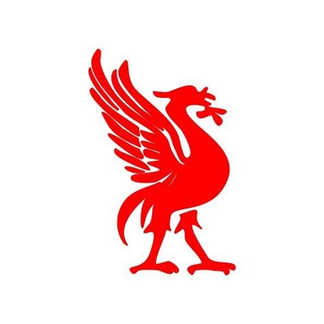 Liverbird Liverpoolfc Liverpool Vector Apple Ipadpro Graphic