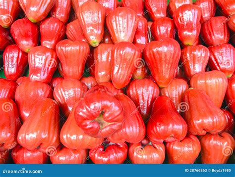 Red Rose Apple Stock Image Image Of Nutrition Slice 28766863