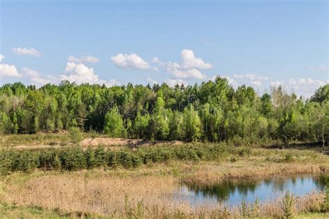 17002 Beautiful Landscape Lake Reeds Photos Free And Royalty Free