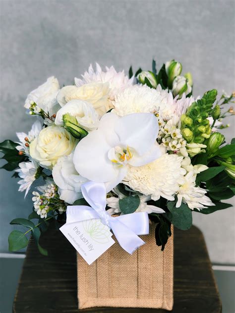 Koa The Lush Lily Brisbane And Gold Coast Florist Flower Delivery
