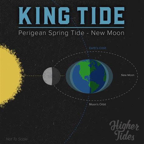 New Moon King Tide Infographic Moon Moon New Moon Full Moon Spring