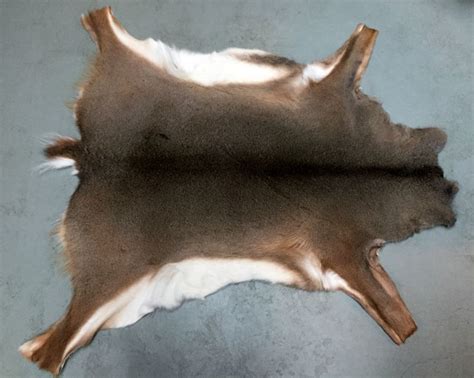 New Tanned Skins Of White Tailed Deer Available In 2 Sizes M 110 X