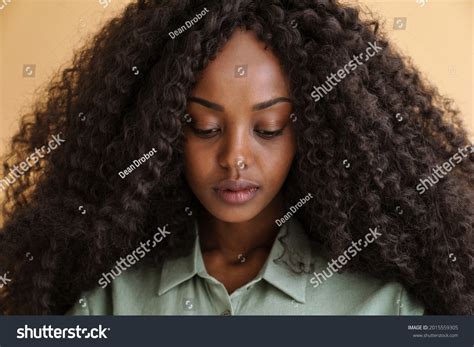 Young Black Woman Curly Hair Posing Stock Photo 2015559305 Shutterstock