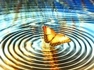 The Butterfly Effect - Healing and Transformation