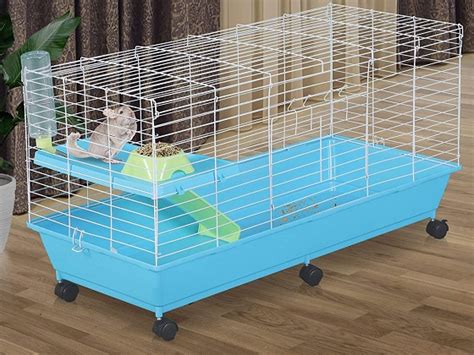 4 Best 30x36 Guinea Pig Cages On The Market In 2022 Reviews