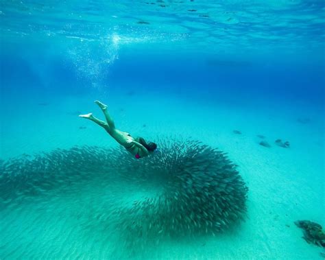 Best Snorkeling In The Caribbean Top 10 Spots Adventure In Blue