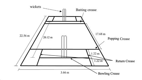 Want To Check Your Bowling Speed Heres What You Should Do Cricket