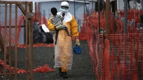 Ebola Outbreak Could Epidemic Infect 14m People Bbc News