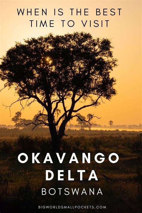 What Is The Best Time To Visit Okavango Delta And Other