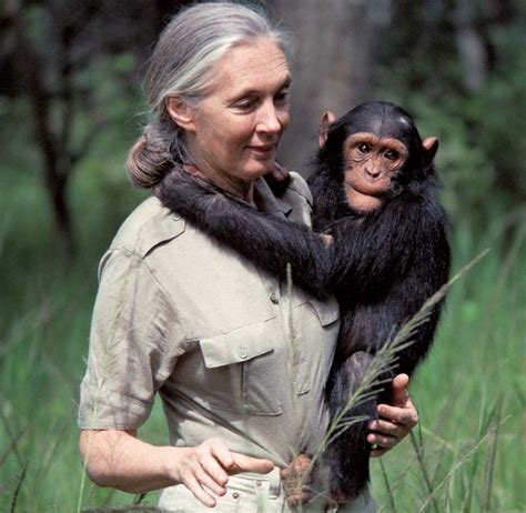 Jane Goodall Wiki Bio Age Height Husband Net Worth Children