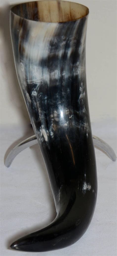 I knew i was home! Buffalo Horn on a Stand Home Decor For Sale at 1stdibs