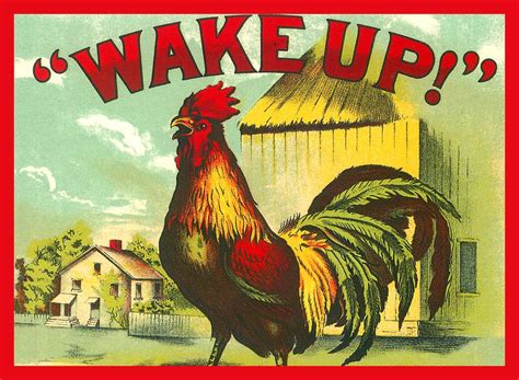 Rooster Wake Up Digital Art By Marianne Dow Pixels