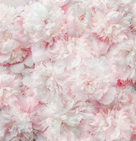 Pastel Pink White Flowers And Petals Arts And Entertainment Stock
