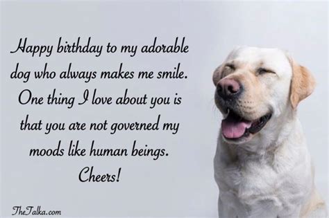 Cute Happy Birthday Wishes For Dog Thetalka Dog Birthday Quotes