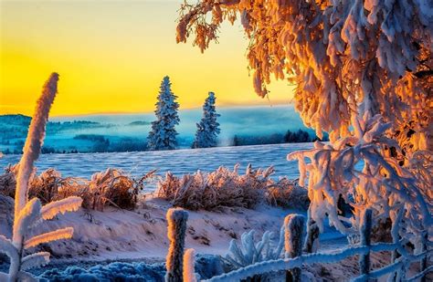 Beautiful Winter Sunrise 4k Ultra Hd Wallpaper 4k