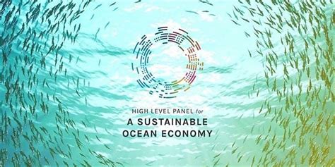 Financing The Transition To A Sustainable Ocean Economy High Level